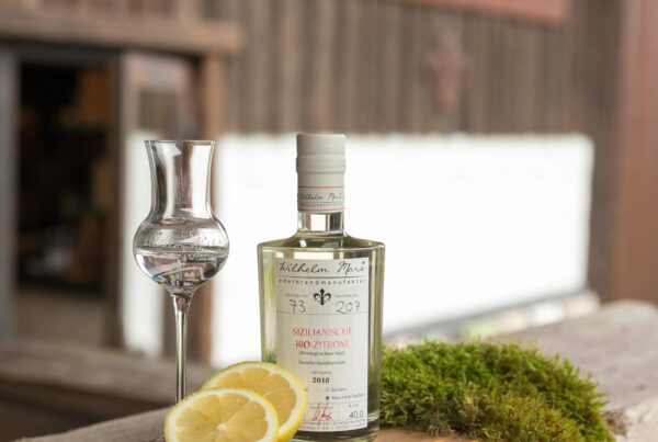 EDELBRAND VON DER SIZILIANISCHEN BIO-ZITRONE Wilhelm Marx