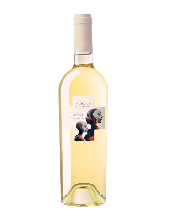 Mesia Schola Sarmenti